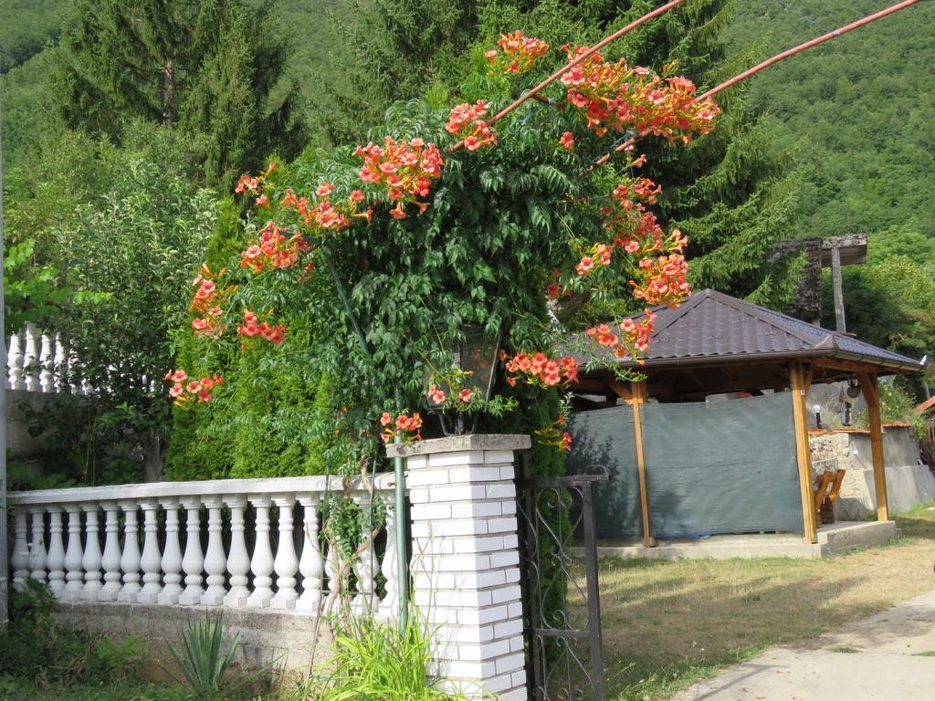 Villa Artemida Kulen Vakuf Exterior foto